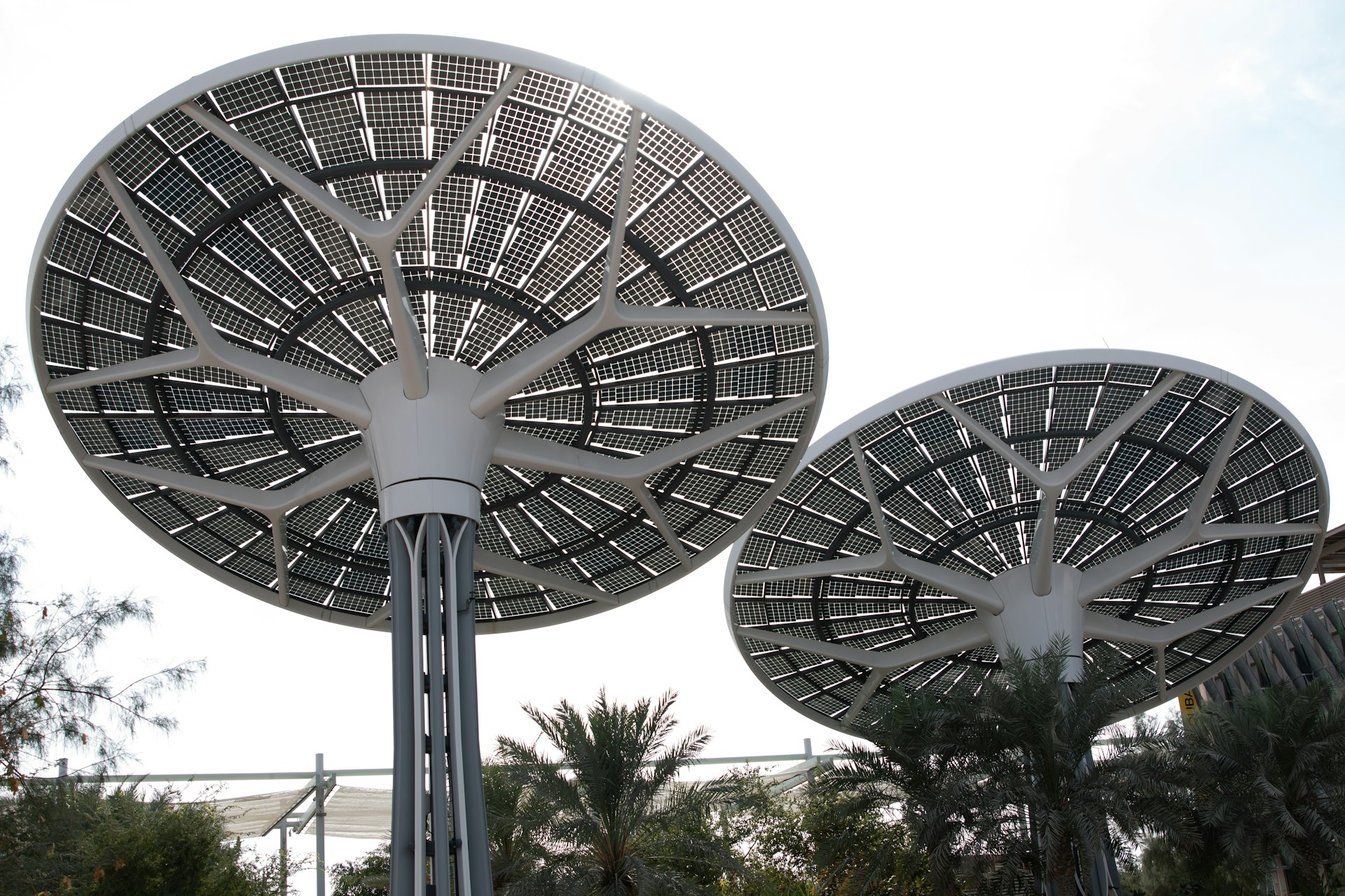 a couple of large white umbrellas sitting next to each other